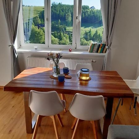 Apartman U Kunstatskeho Mlyna Orlicke Zahori Экстерьер фото