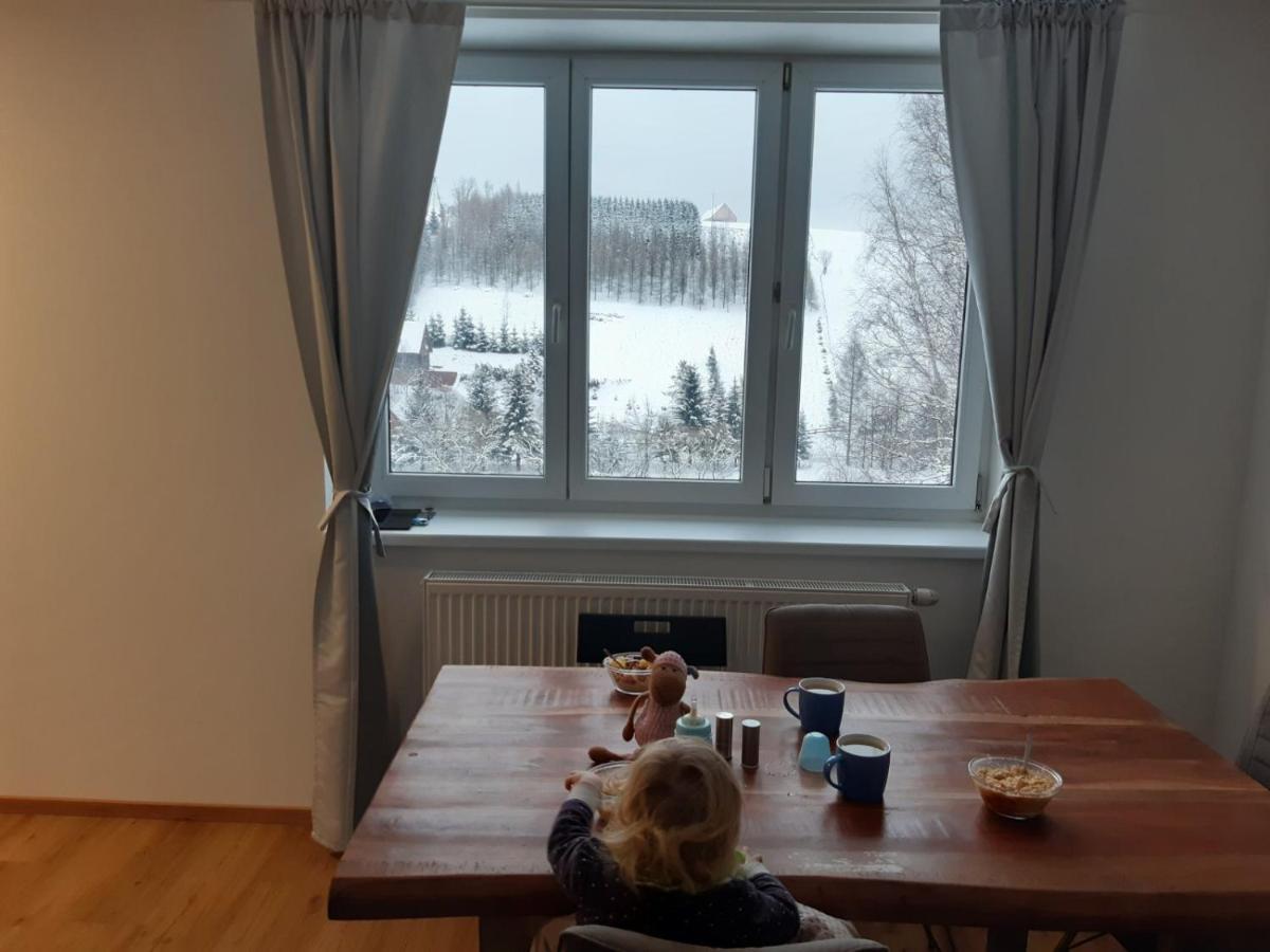 Apartman U Kunstatskeho Mlyna Orlicke Zahori Экстерьер фото