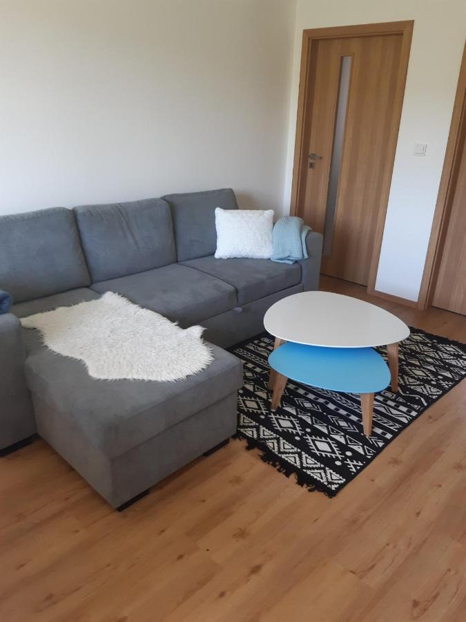 Apartman U Kunstatskeho Mlyna Orlicke Zahori Экстерьер фото