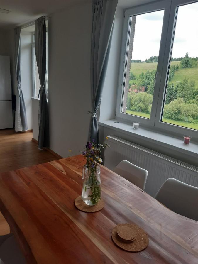 Apartman U Kunstatskeho Mlyna Orlicke Zahori Экстерьер фото