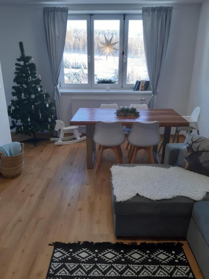 Apartman U Kunstatskeho Mlyna Orlicke Zahori Экстерьер фото
