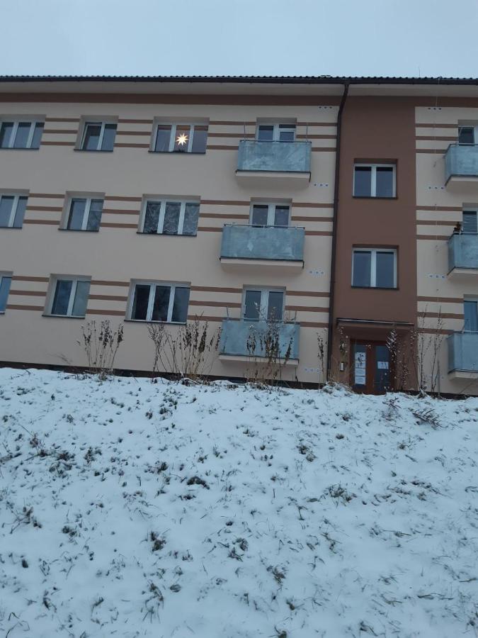 Apartman U Kunstatskeho Mlyna Orlicke Zahori Экстерьер фото